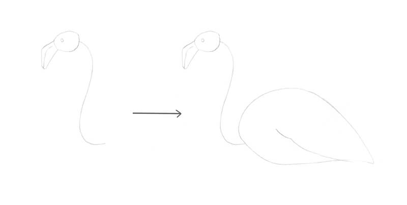 Basic shapes and lines used to draw the flamingo