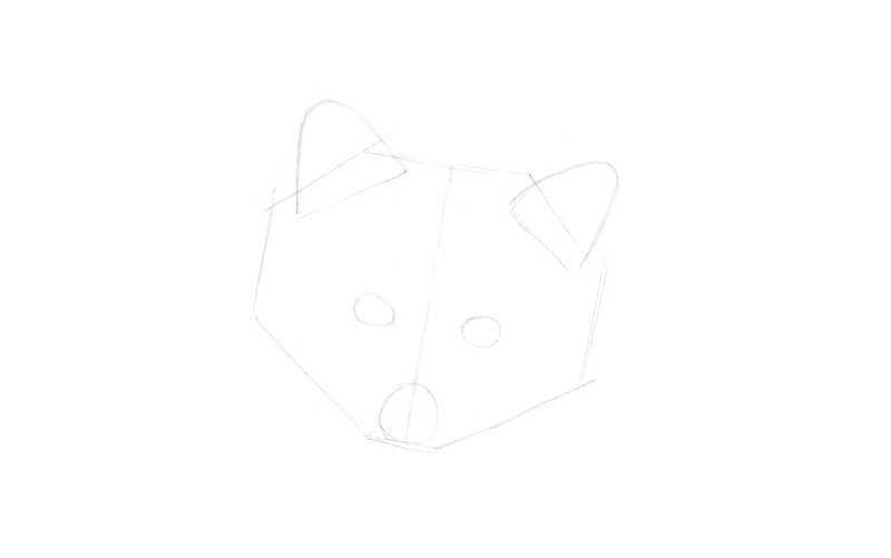 Sketching the basic shapes of the raccoon