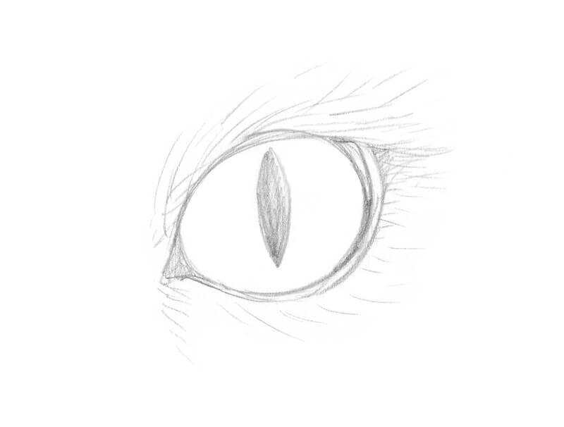 Pencil sketch of a cat eye