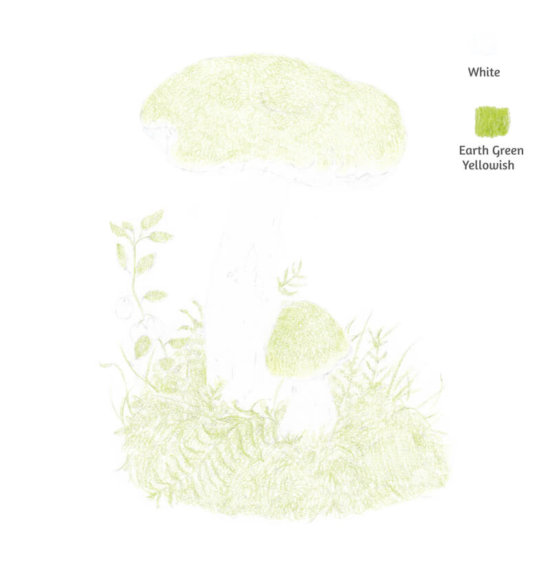 Light green colored pencil applications on the mushroom