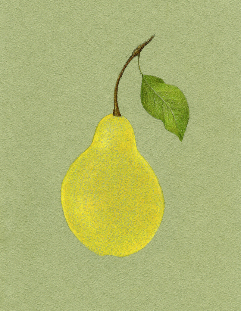 Adding color to the body of the pear