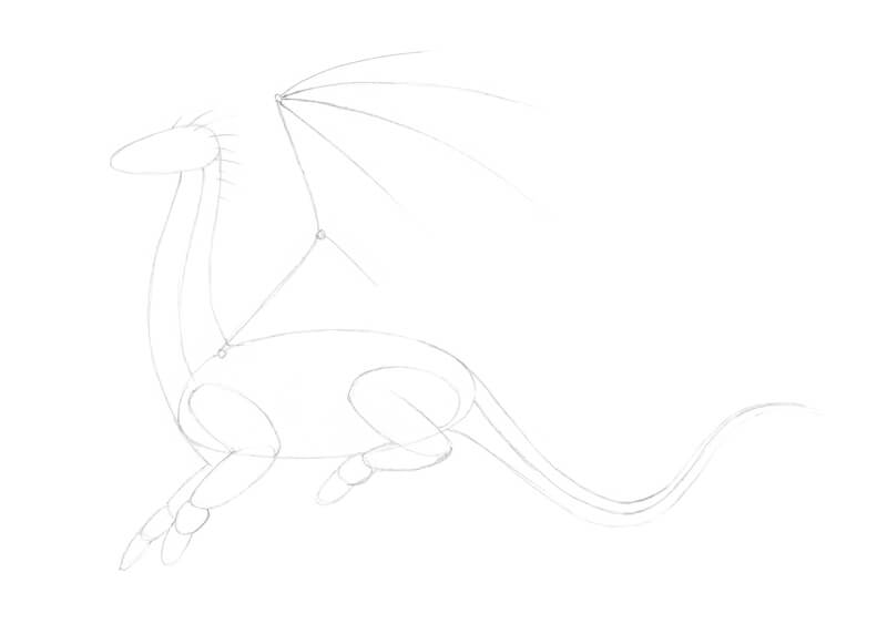 Drawing the structure for the body of the dragon