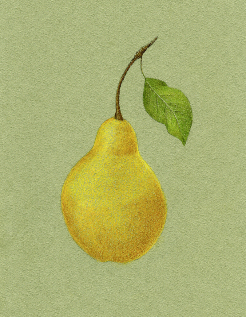Adding core shadow to the body of the pear