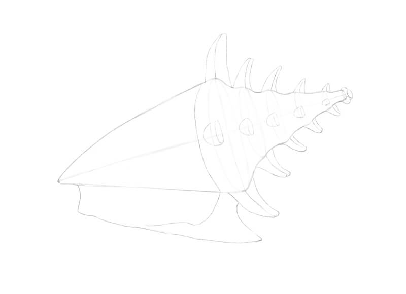 Pencil drawing of seashell