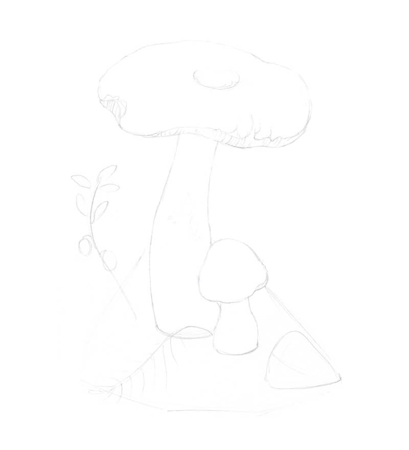 Refining the pencil sketch of a mushroom