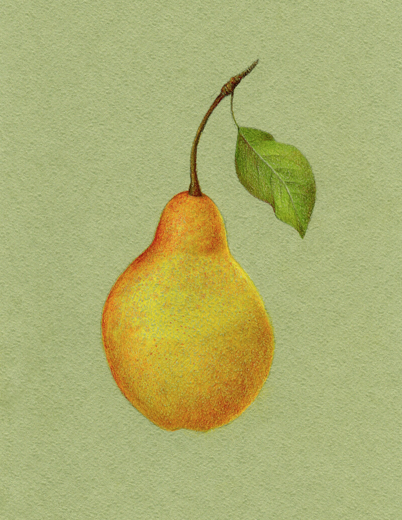 Layering yellow and red colored pencils to the pear