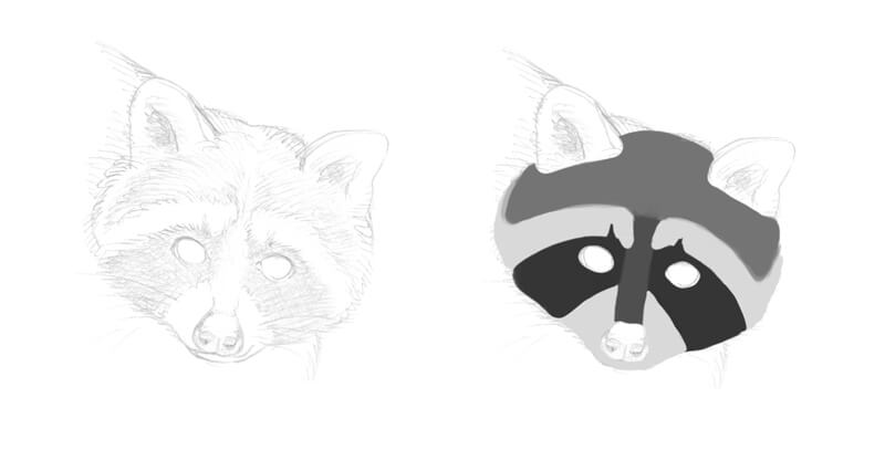 Mapping the values on the face of the raccoon