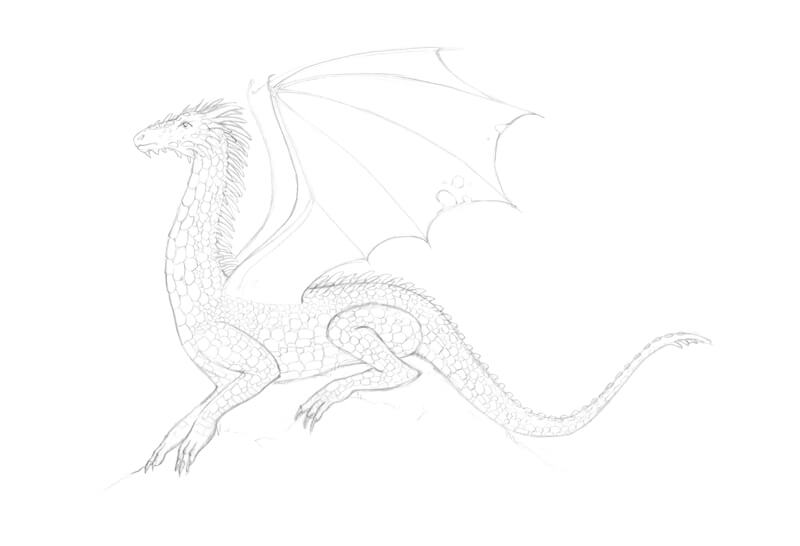 Completed pencil sketch of a dragon