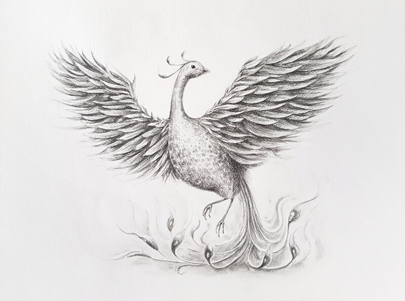 Drawing of a Phoenix with water-soluble graphite