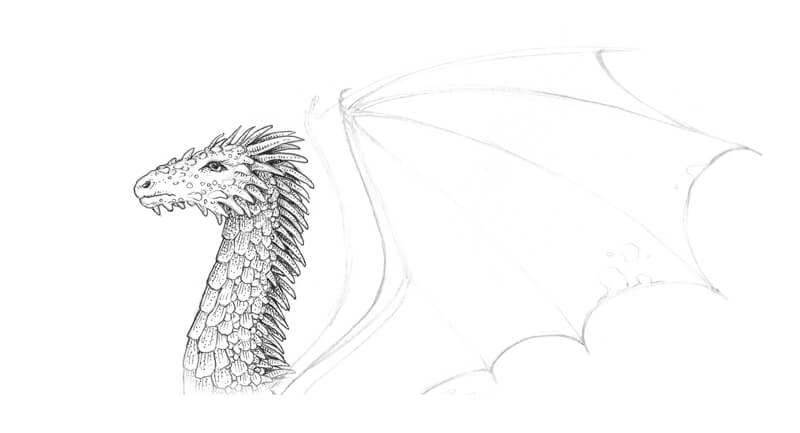 First ink applications to the drawing of a dragon