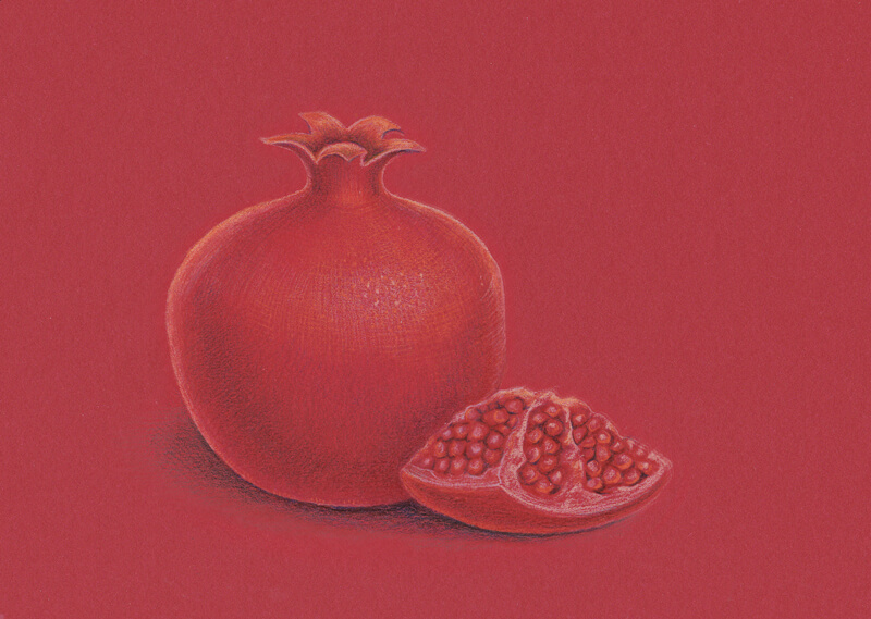 Colored pencil drawing of a pomegranate