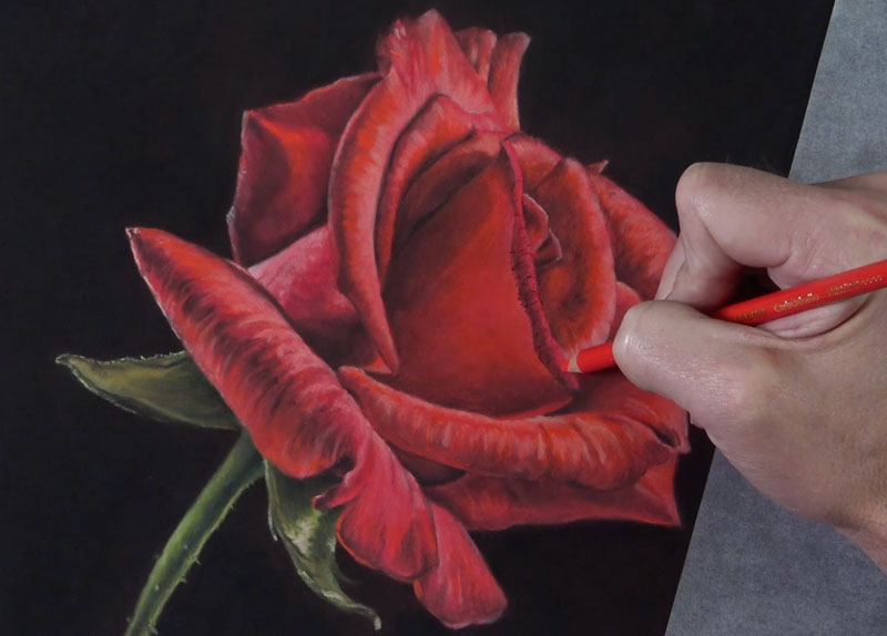 How to draw a rose with pastels