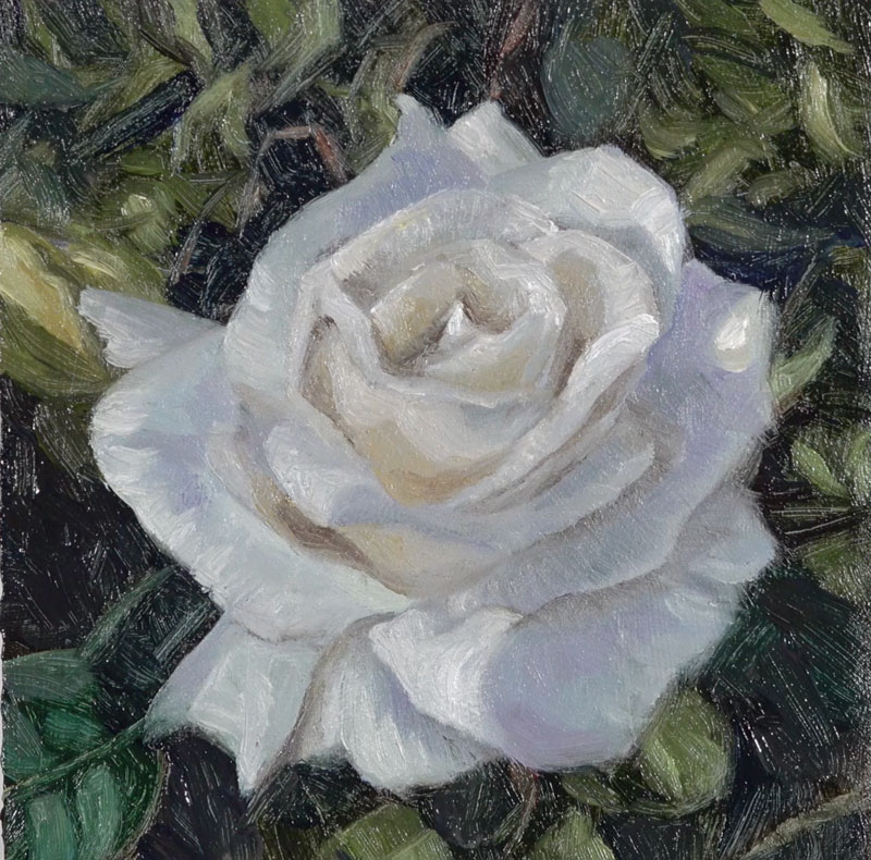 Adding the final highlights to the painting of a rose