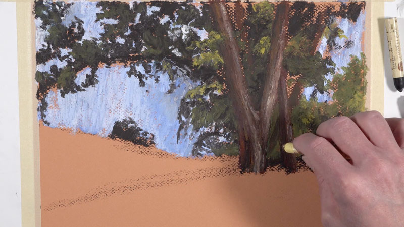 Adding texture to the trunk of the tree