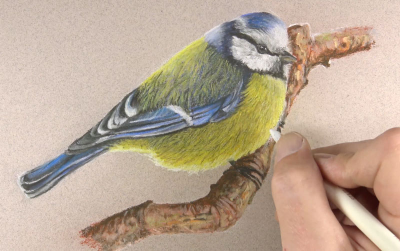Drawing texture on the branch
