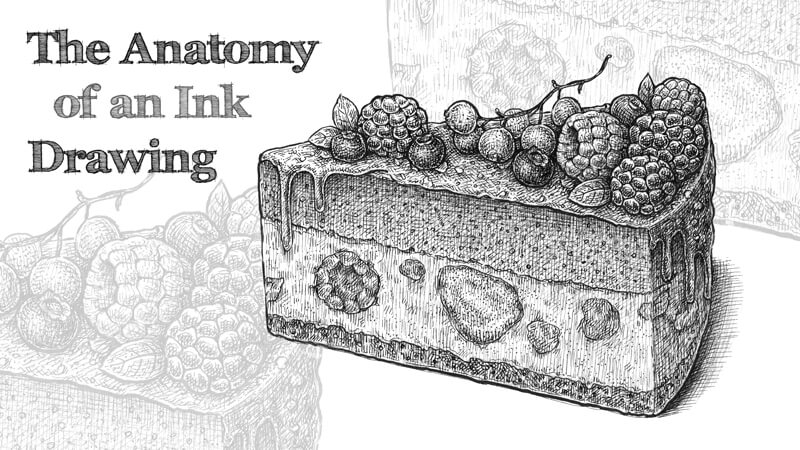 The Anatomy of an Ink Drawing