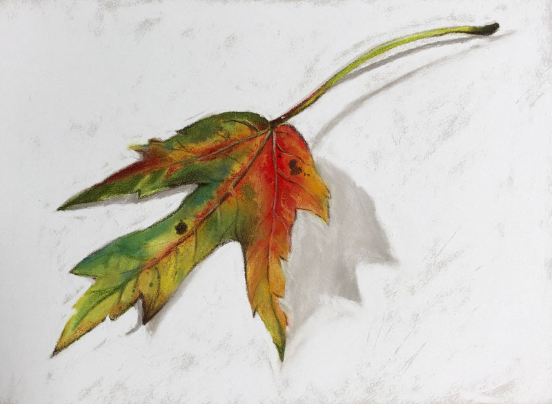 Drawing of an Autumn Leaf with PanPastels and Colored Pencils