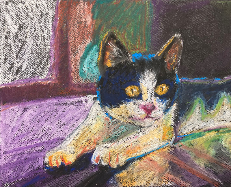 Cat drawing with oil pastels