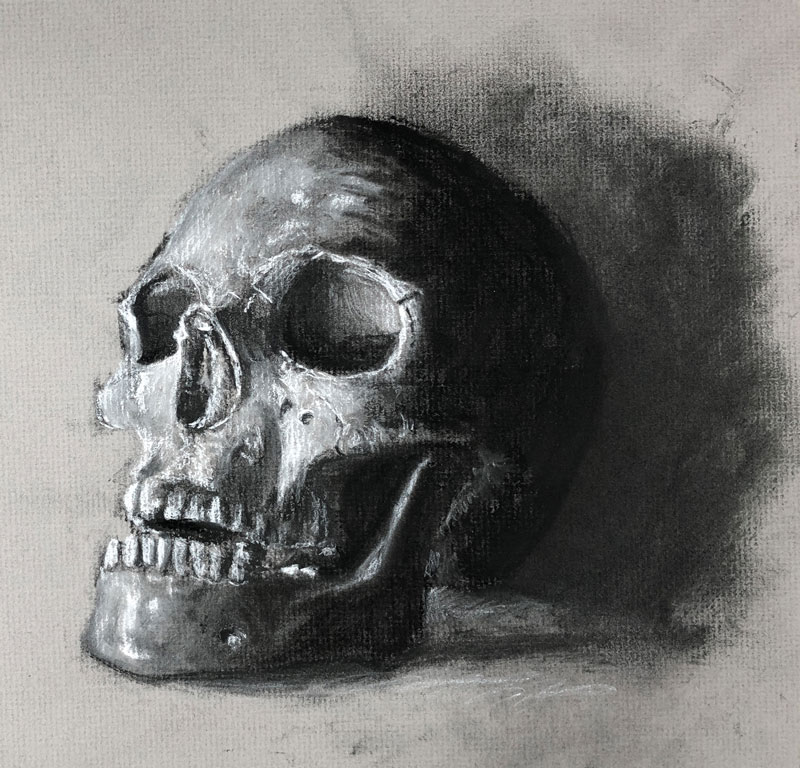 Charcoal Drawing of a Skull on Gray Paper