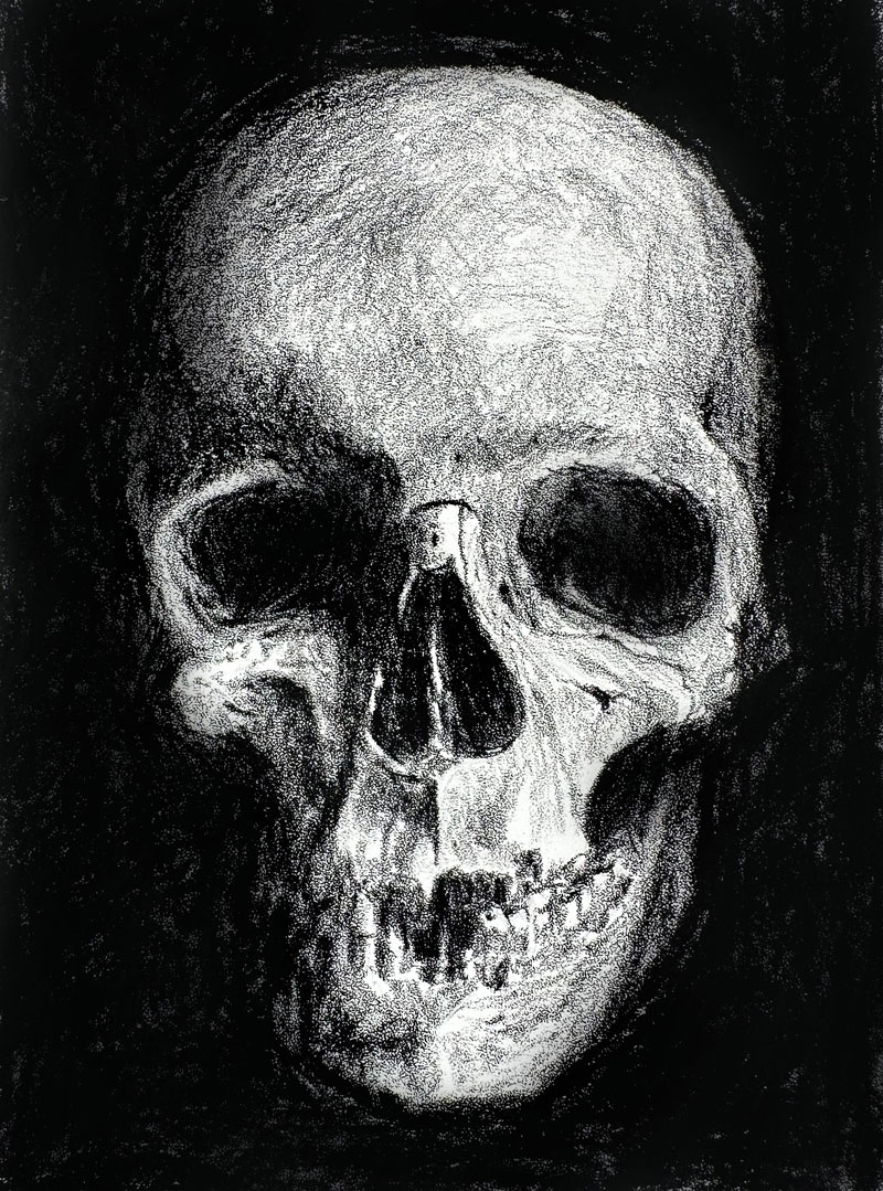Charcoal Skull Drawing