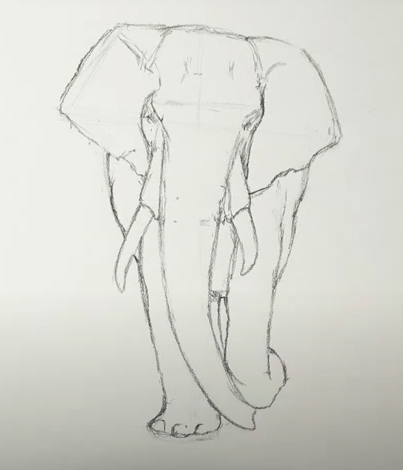 Contour-line-sketch-of-elephant