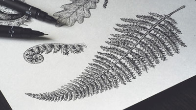 Nature Drawing with Pen and Ink