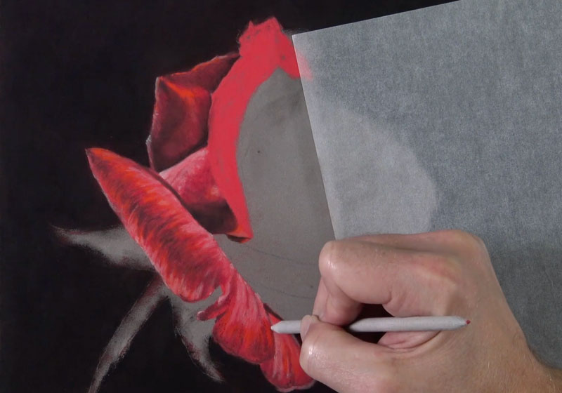 Developing the texture on the rose