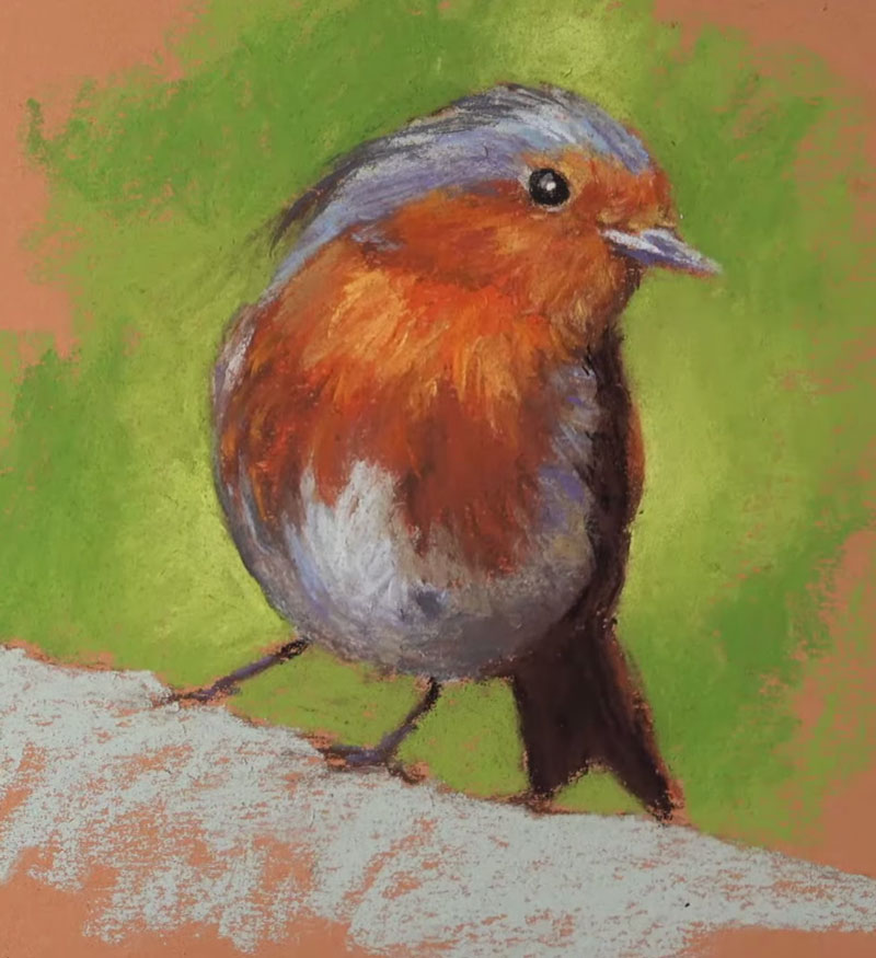 Developing values and details on the body of the Robin with pastels