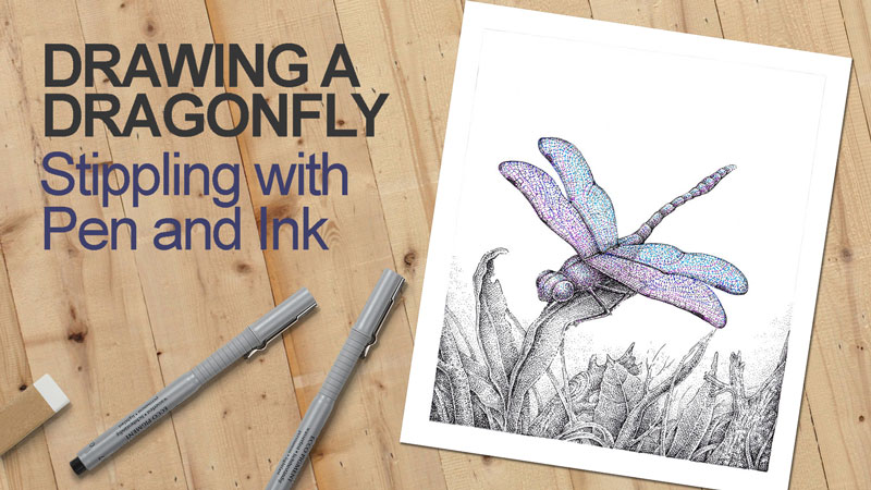 Draw a Dragonfly with Stippling and Pen and Ink