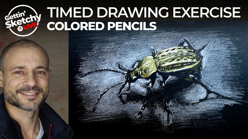 Drawing a Bug with Colored Pencils - Timed Drawing Exercise