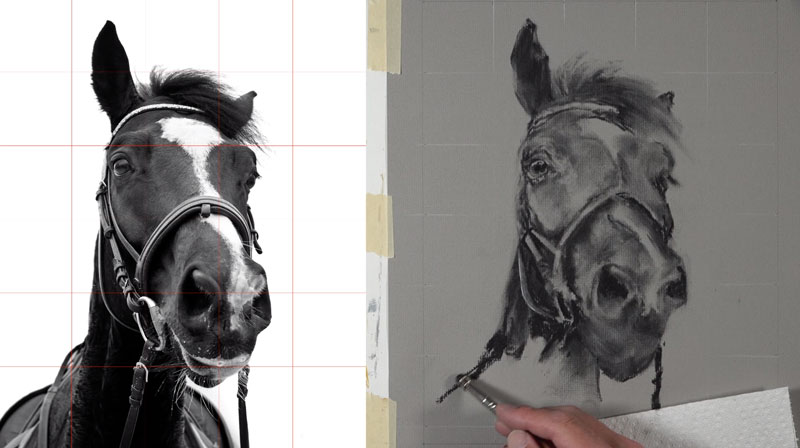 Drawing the body of the horse with charcoal