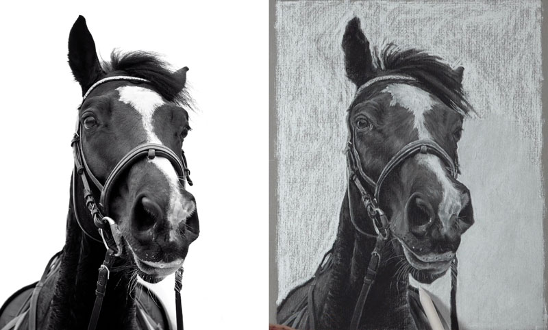 Drawing the background behind the horse with white charcoal