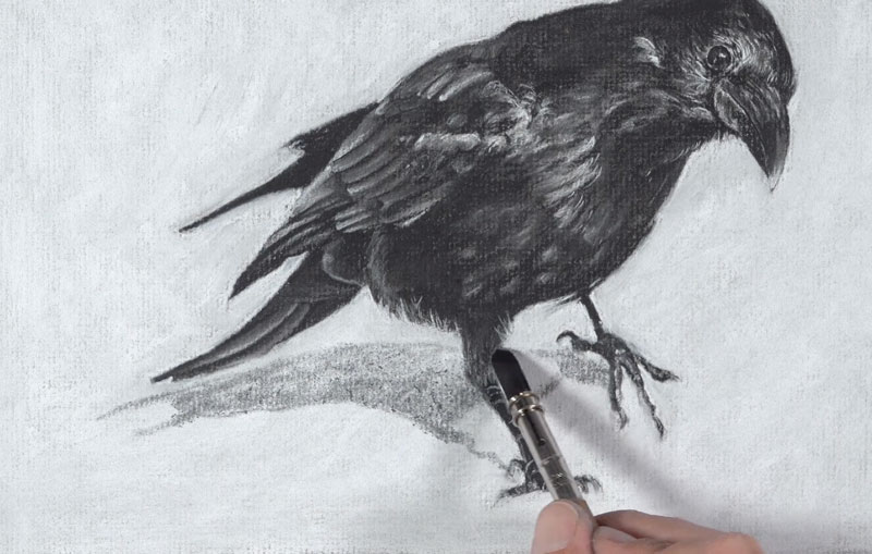 Drawing the cast shadow under the raven