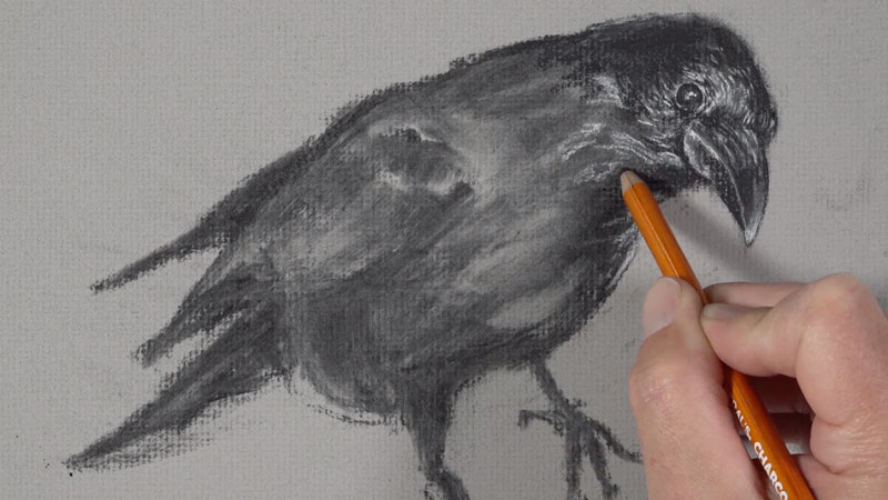 Darkening areas with the compressed charcoal pencil
