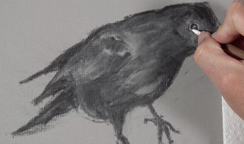 Drawing the eye of the raven with white charcoal