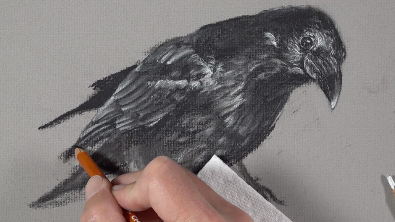 Drawing the feathers of the raven