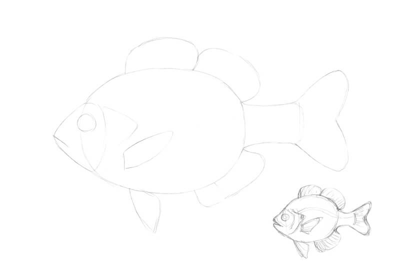Sketching a fish