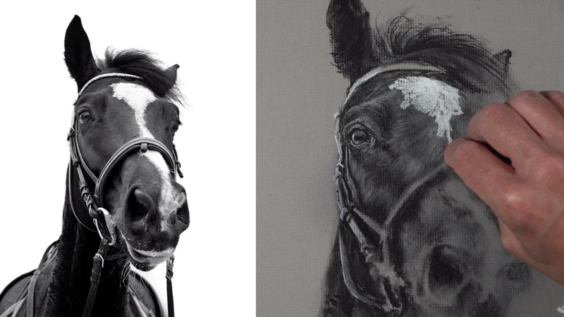 Drawing horse hair with charcoal