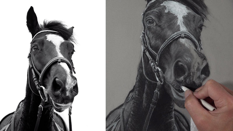 Drawing the snout of the horse