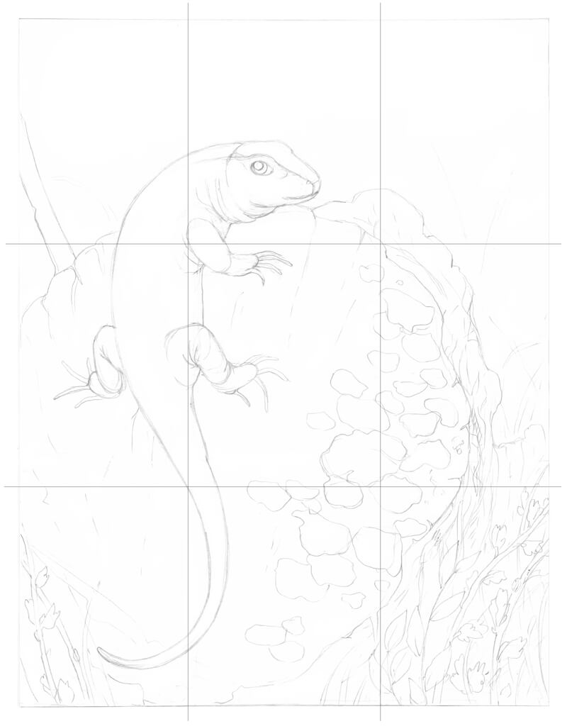 Checking composition with gridlines