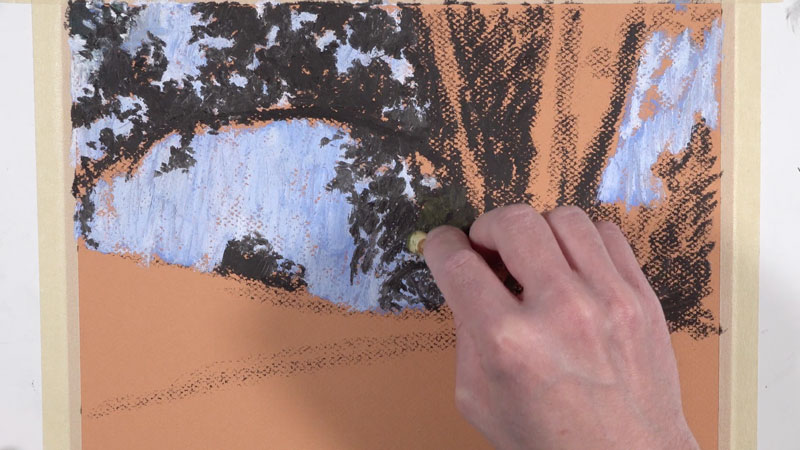 Drawing the shape of the tree