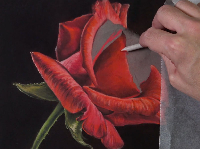 Drawing the center of the rose