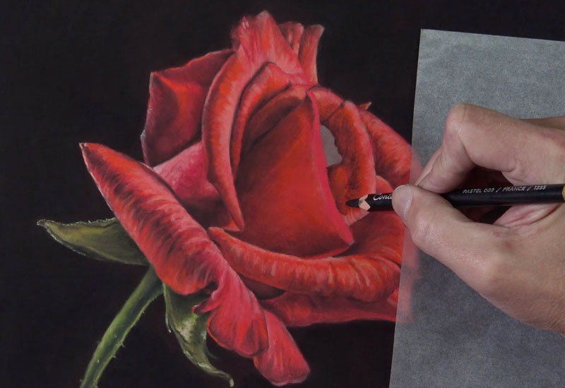 Drawing the center of the rose petals