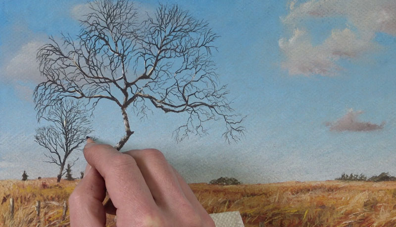 Drawing trees with pastel pencils