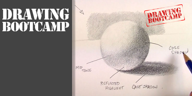 Drawing bootcamp - learn the foundations to drawing