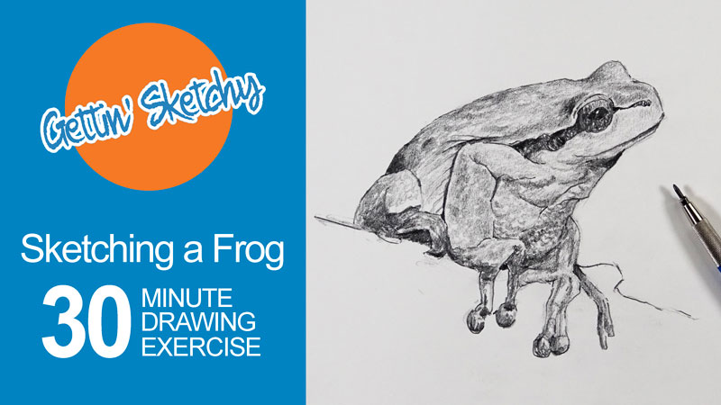 Timed Sketching Exercise - Frog
