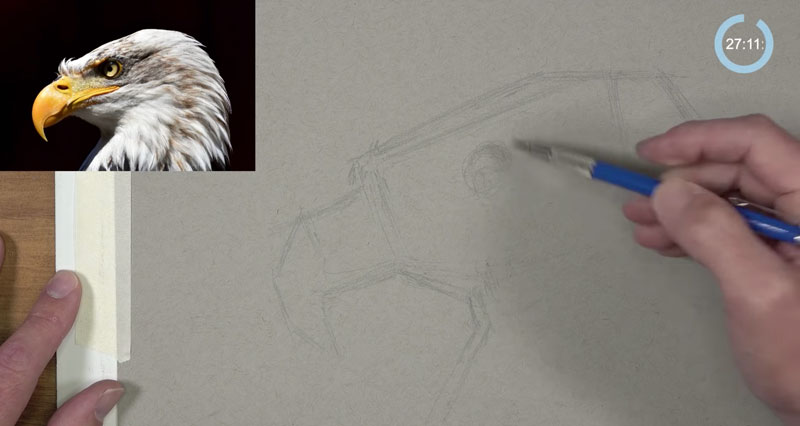 Eagle sketch - drawing shapes
