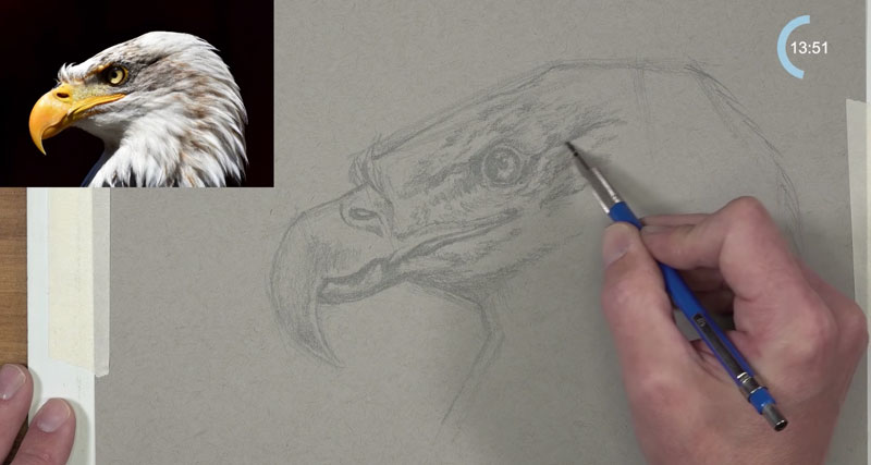 Eagle sketch - Darkening values