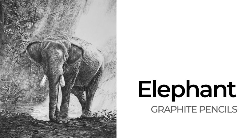 Elephant with Graphite Drawing Lesson Series