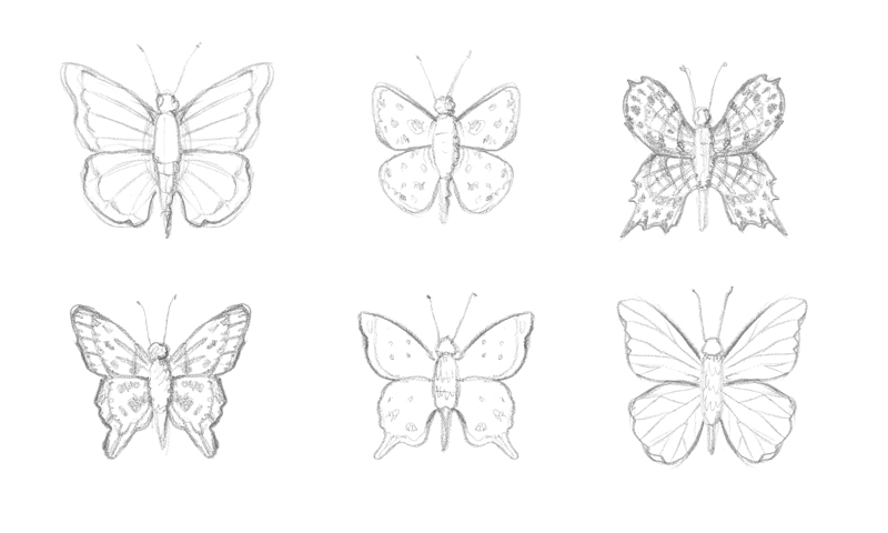 Pencil sketches of butterflies